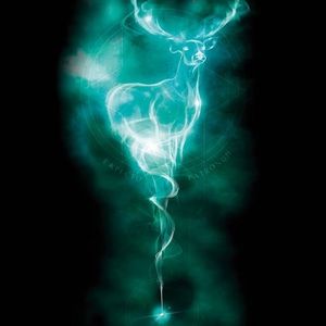 Meet your Posher, Kiya